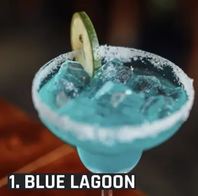 Mixologist 480