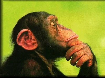 Creating customer profiles is a good idea - use buyer personas